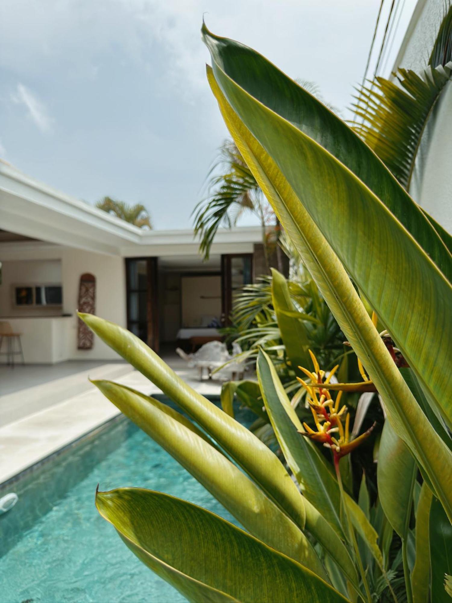 Aster Villa Seminyak Eksteriør billede